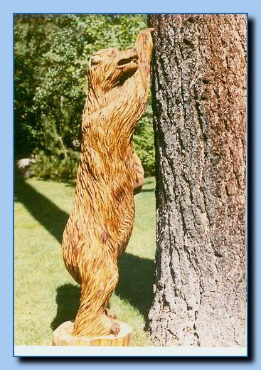 2-31 bear attached to tree, 1 leaning-archive-0001